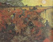 Vincent Van Gogh The Red Vineyard (nn04) oil painting on canvas